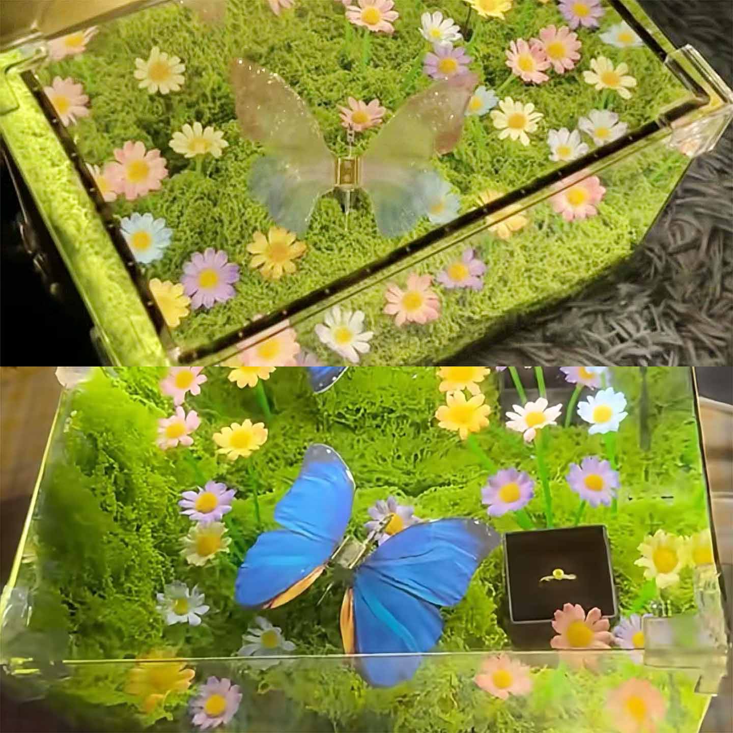 🦋 Spring Butterfly Cube LED Night Light DIY Craft Kit